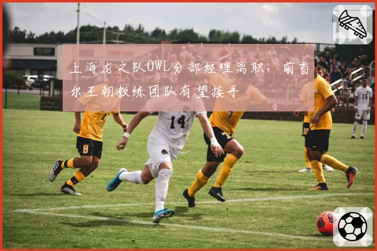上海龙之队OWL分部经理离职，前首尔王朝教练团队有望接手